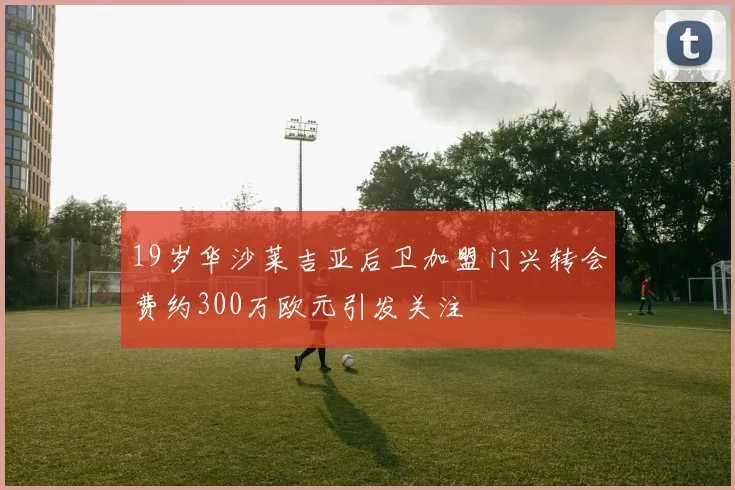 19岁华沙莱吉亚后卫加盟门兴转会费约300万欧元引发关注
