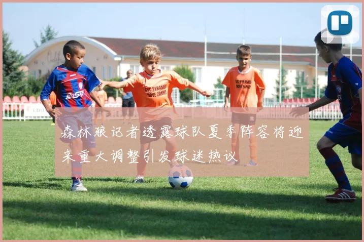 森林狼记者透露球队夏季阵容将迎来重大调整引发球迷热议