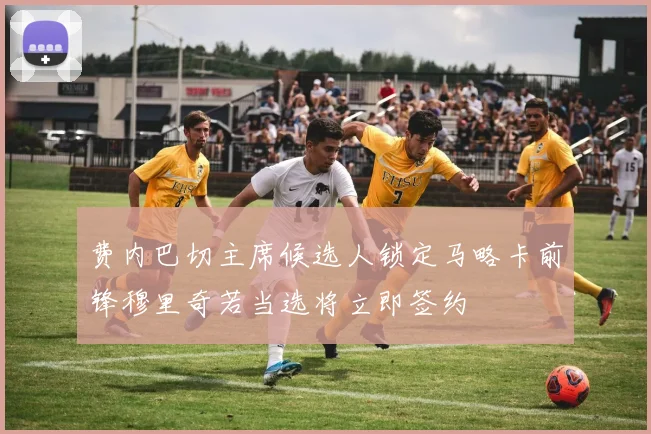 费内巴切主席候选人锁定马略卡前锋穆里奇若当选将立即签约