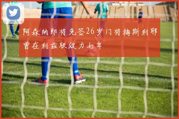 阿森纳即将免签26岁门将梅斯利耶曾在利兹联效力七年