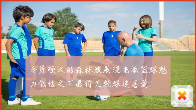 全员硬汉的森林狼展现老派篮球魅力低估之下赢得无数球迷喜爱