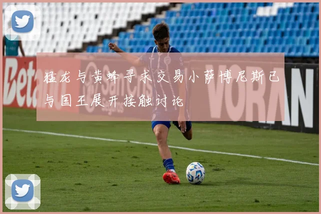 猛龙与黄蜂寻求交易小萨博尼斯已与国王展开接触讨论
