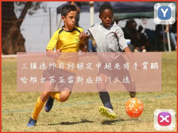 三镇选帅目标锁定中超老将李霄鹏哈维尔苏亚雷斯成热门人选