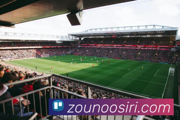 互动解说服务
